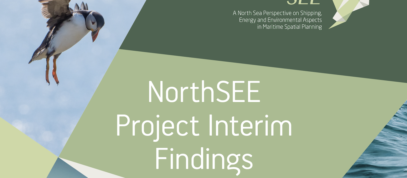 NorthSEE Project Interim Findings Report